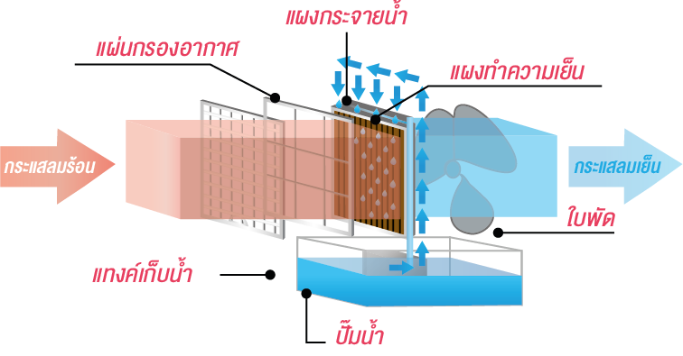 ระบบอีแว๊ป (Evaporative cooling system) มีประสิทธิภาพสูงในการลดอุณหภูมิ ประหยัดพลังงาน เมื่อเปรียบเทียบระบบปรับอากาศทั่วไป ระบบอีแว๊ปค่าใช้จ่ายในการบำรุงรักษาต่ำ สามารถใช้งานทั้งในอาคารปิด และพื้นที่โล่งกลางแจ้ง