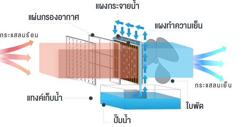 หลักการทำงานของระบบอีแวปโรงเรือนระบบอีแว๊ป (Evaporative Cooling System) เป็นระบบฟาร์มปิด สามารถความคุมอุณหภูมิและความชื้นให้คงที่ โรงเรือนระบบอีแวปยังสามารถป้องกันแมลงรวมถึงการเพิ่มผลผลิตให้ออกนอกฤดูกาลได้